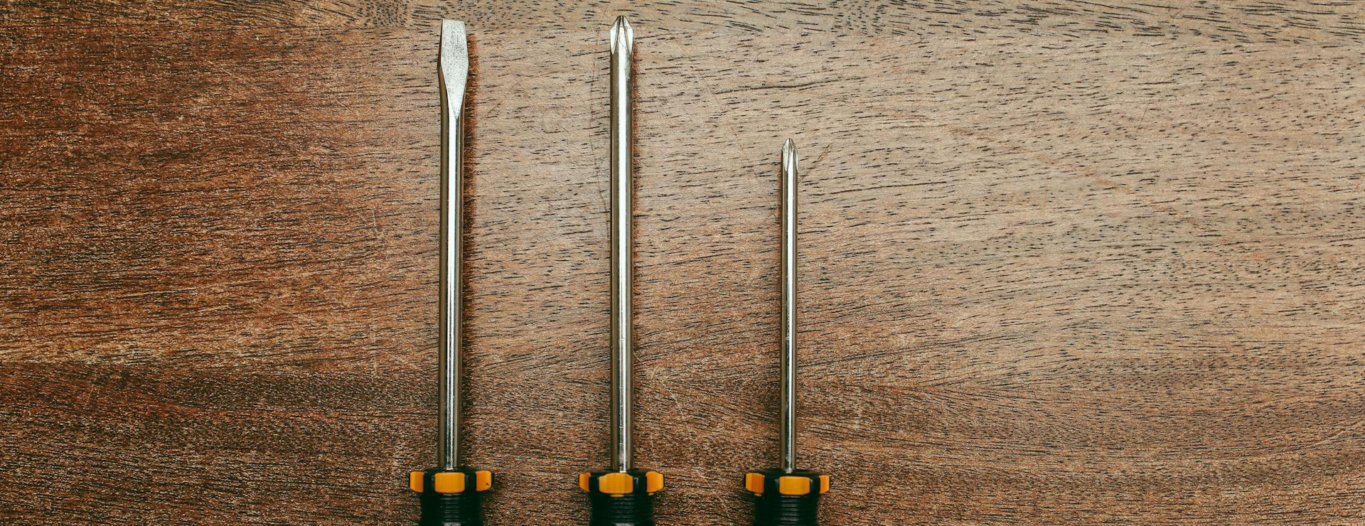 Irwin -Irwin pexels polina tankilevitch 5583091